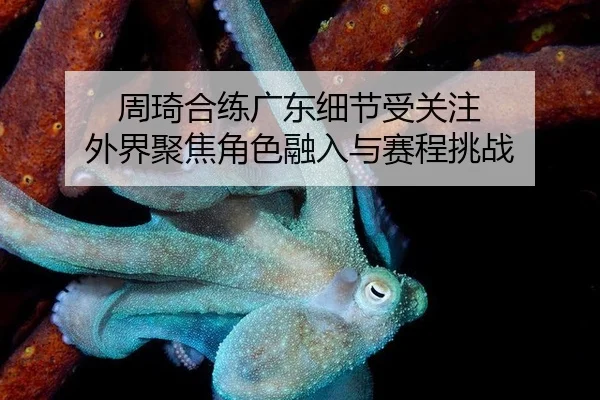 周琦合练广东细节受关注 外界聚焦角色融入与赛程挑战